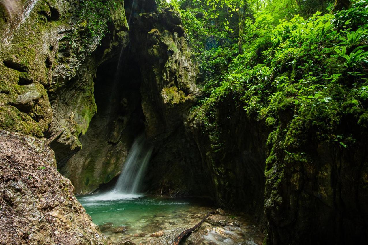 Hotel Garni My Ledro П'єве-ді-Ледро Екстер'єр фото