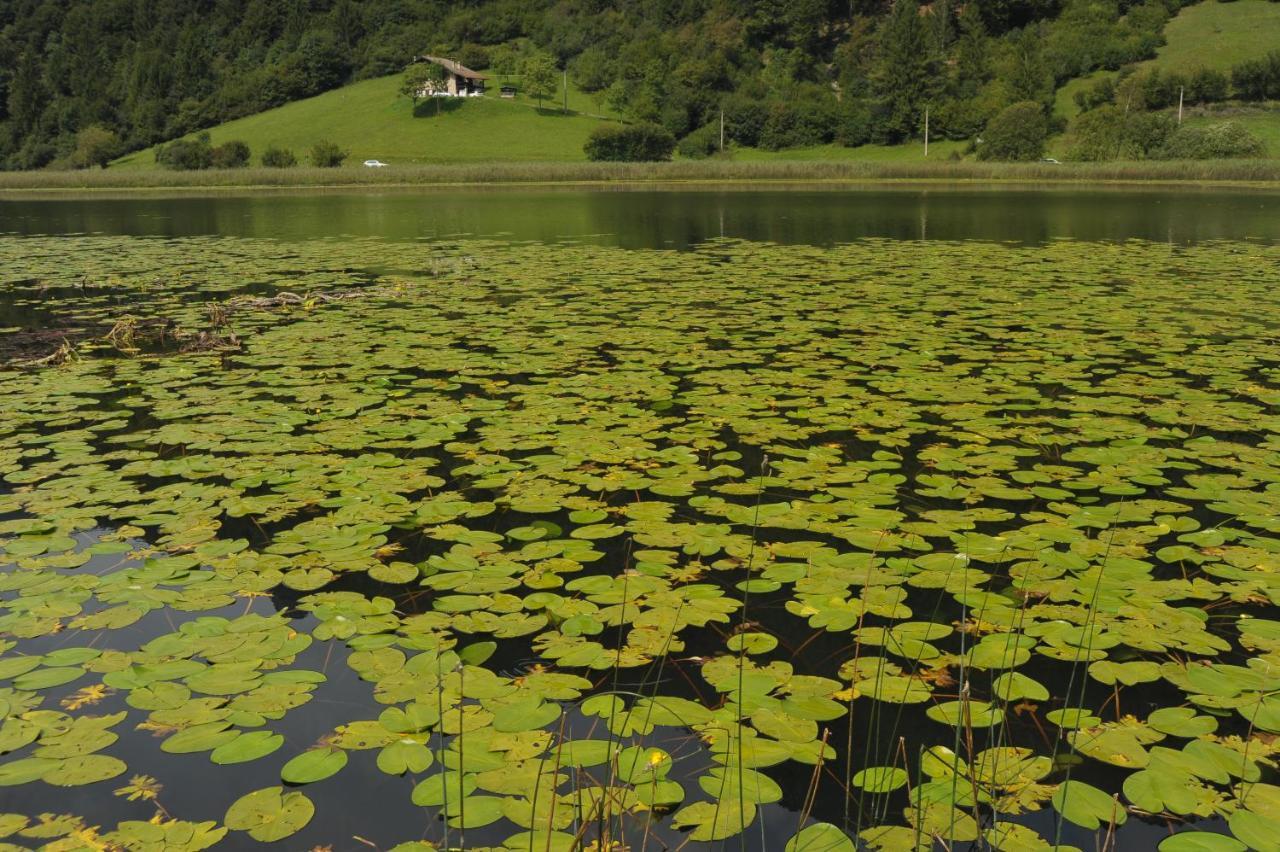 Hotel Garni My Ledro П'єве-ді-Ледро Екстер'єр фото